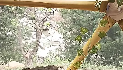 Bagian akhir - seks luar ruangan sama gadis asing di hutan