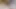 Lil insan dildo sikiliyor ve aşağılanıyor (ve çizmelerimi yalamak zorunda!)