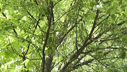 Kalçalarımdaki her damlayı yalayabilirdi