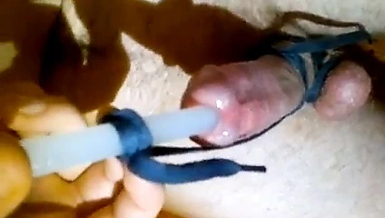 Horoz sokma (seslendirme), horoz şenliği.