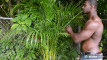 Pratinjau video