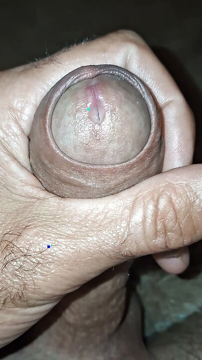 Hydration of the cock