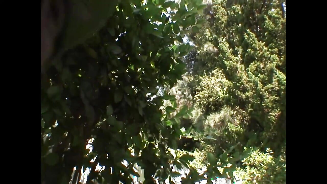 Räven äter allt (Del 2)