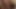 3D Futanari Dickgirl