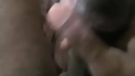 penis