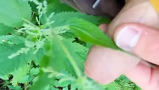 Nature jerk off. Stinging nettle cum