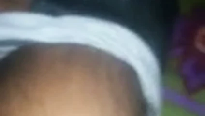 Hint büyük horoz kam gösteri