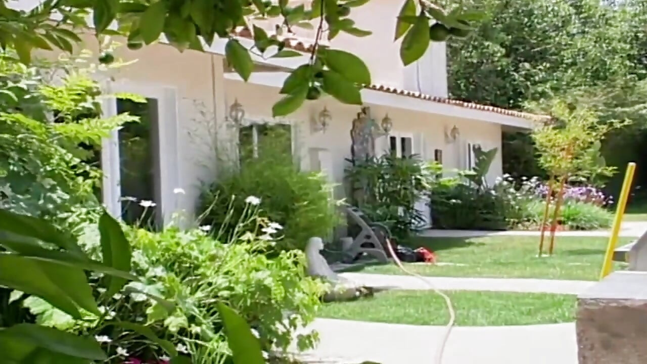 Lust endet im totalen Kontrollverlust bis nichts mehr