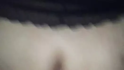 Pig3