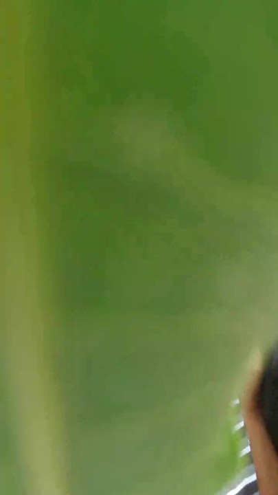 Seorang pertengahan bahagia, kami sedang menunggu awak secara langsung esok