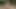 Jasmine Jayne ve Lily Flower'ın voleybol üçlü seksi
