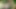 Neo matriste götünü parlatıyor