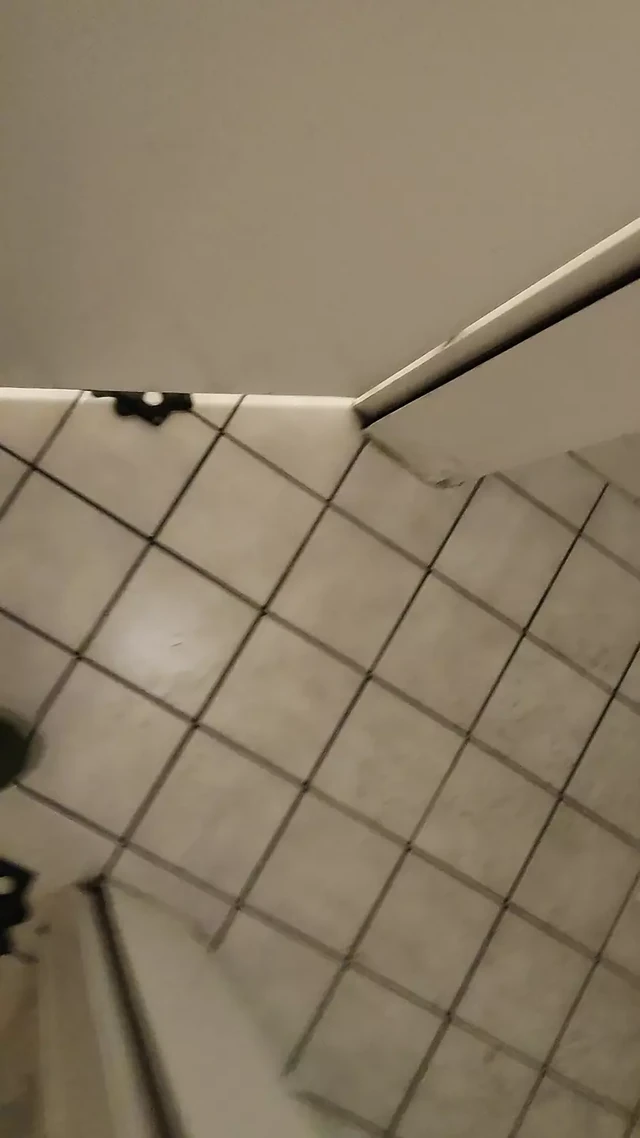 Piss in the Pub