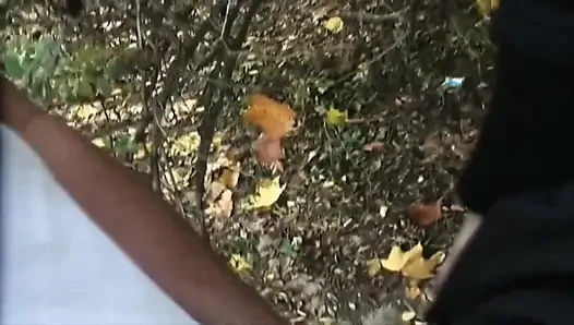 Teenenger Fucked in the Park and Squirted in Mouth