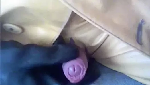 ön sevişme