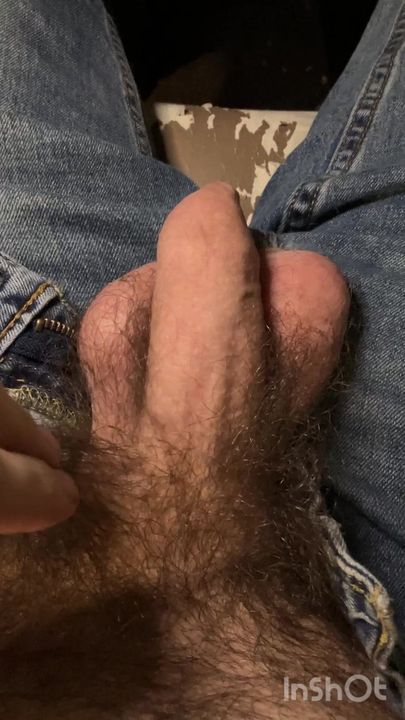 Unzipping my jeans to pull out my very hairy flaccid uncut dick and balls (no audio)