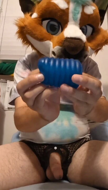 HarigeHusky speelt met zijn favoriete blauwe seksspeeltje in bed
