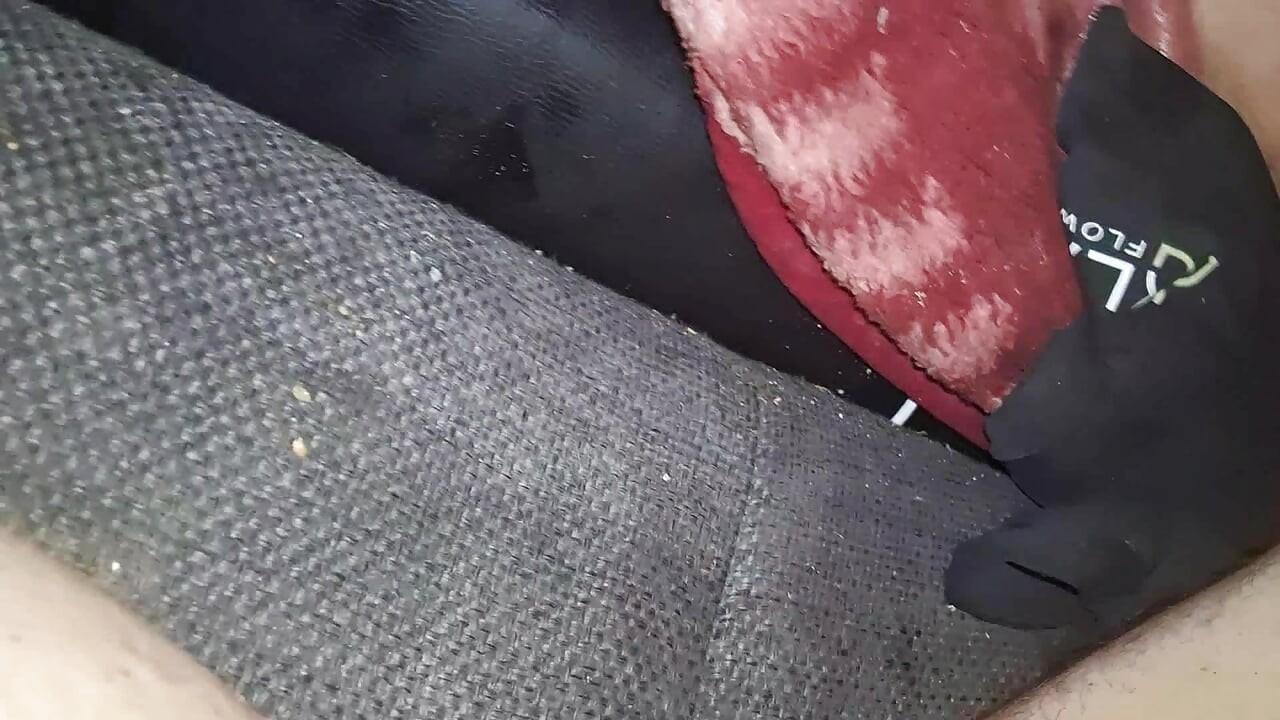 الاستمناء الديك الكبير شاعر المليون اللعب مع الديك لعبة اللسان
