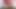 Hot Threesome with a Beautiful Girl with Dyed Hair They Give Me Some Good Blowjobs