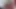 Edepsiz sürtükler evde edepsiz domuzlar tarafından sikiliyor