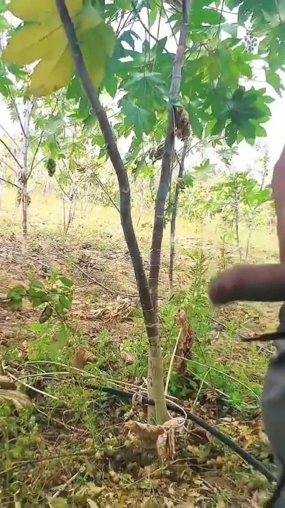 Desi outdoor sex video in hindi audio xxx video, viral bhabhi ki desi chudai | Clip 2