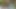 Zenci kız havuz başında büyük zenci biniyor