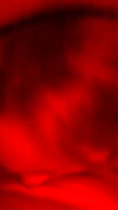 Bäst att suga kuk!!