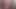 TerryTrans Ich wichse meinen harten Minipimmel I wank my tiny hard cock