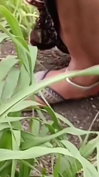 To get sister-in-law's beautiful pussy, he went from house to field to get four katwans with him, brother-in-law fucked sister-in-law, fucked sister-in-law, fucked by the field | Clip 1