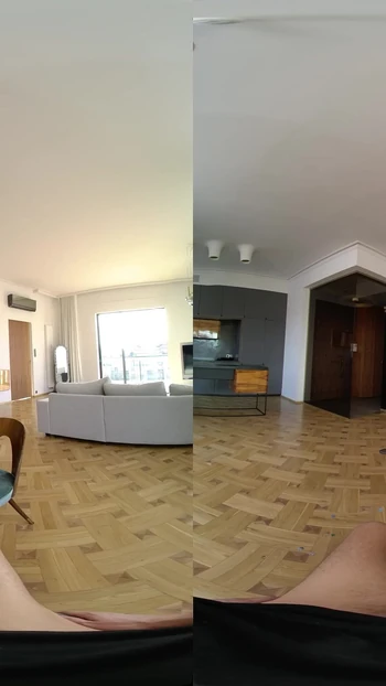 Must-share moment from "We Give Up on the Puzzle for a Creampie - Virtual Real Porn"
