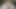 Courtney shea mendapatkan wajah penuh air mani dalam 5k 60fps