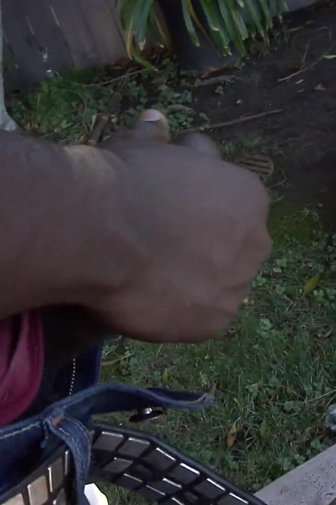 Latina with bouncy tits sucks and fucks black cock