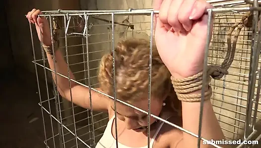 Angel diamonds diikat di kandang dan disumpal