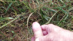 Pratonton Video