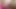 Dani Daniels And Vanessa Veracruz are casual lesbi
