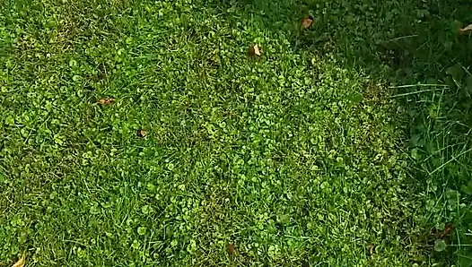 Ayunan dan di Luar Ruangan