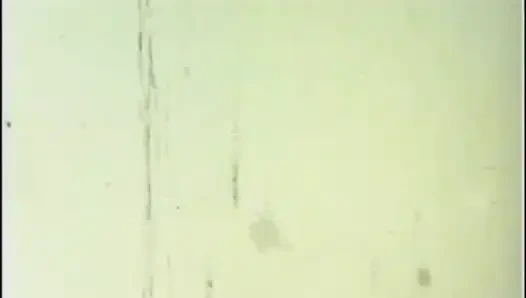 The Neighborhood Whore