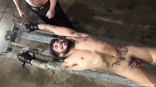 Matt Stevens Put electrode into Draven Torres Cock