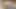 Desi fun semen released inside