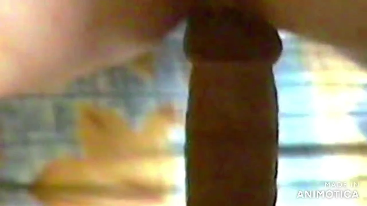 POV Doggie
