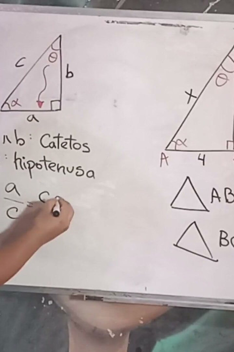 86 Seksuell trigonometri Pythagoras' læresetning