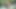 Balık fileli sürtüğün üç adamı emmesini izle