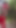 Unvergesslicher moment von "Desi College mädchen kommt wald jangle und fickt einen jungen mädchen arsch - Desi bhabhi im wald .."