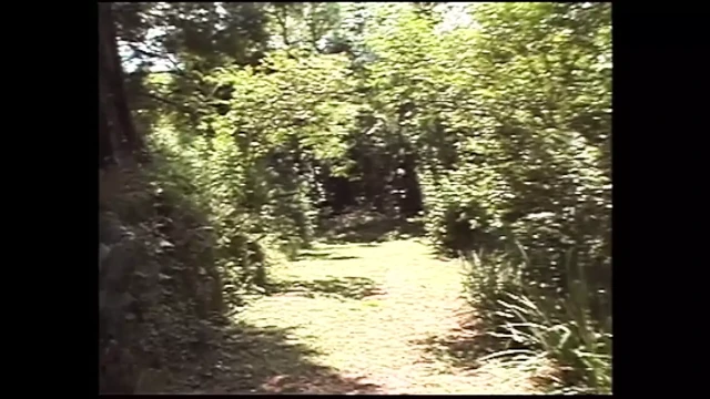 SECRETS OF SAO PAULO