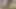 Asiansexdiary Asyalı eğlencesi üyelerin nişanlısı