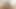 Horny big pussy lips and DSL babe sucks black cock