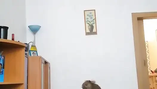gangguan domestik kita seperti itu
