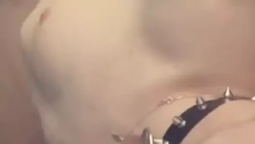 Pup tail plug