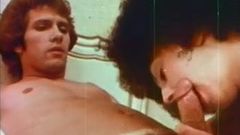 Suc de orgă 1973