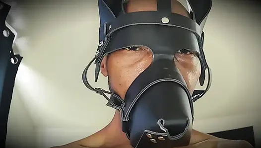 Season 4 - Bts 50 Shades of Baby Oil Vol 32